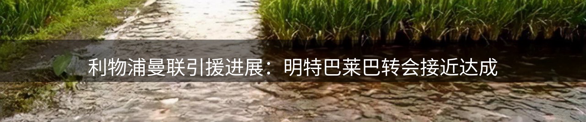赛事资讯