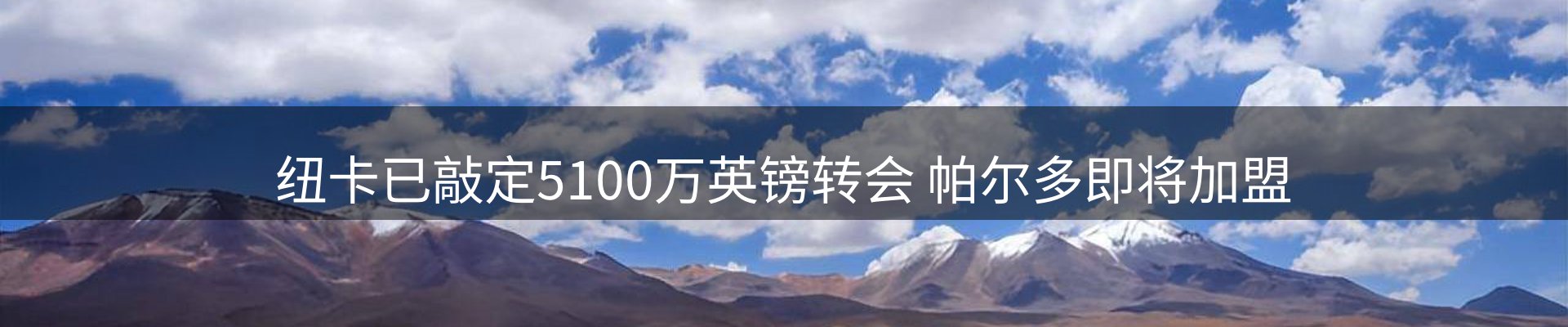 市场观察