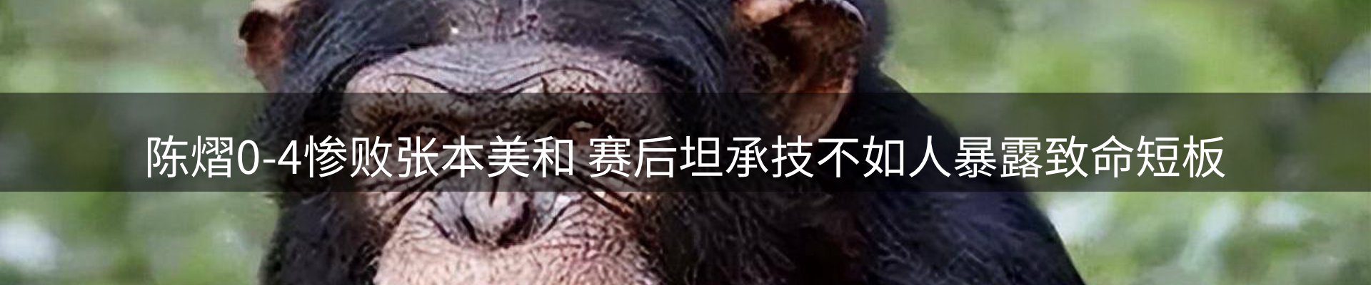 赛事资讯
